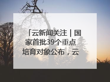 云新闻关注｜国家首批39个重点培育对象公布，云南有3个