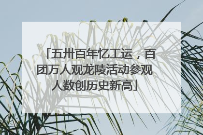 五卅百年忆工运，百团万人观龙陵活动参观人数创历史新高