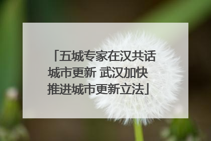 五城专家在汉共话城市更新 武汉加快推进城市更新立法