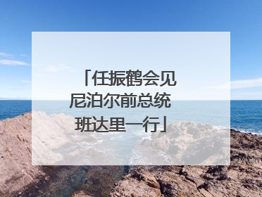 任振鹤会见尼泊尔前总统班达里一行