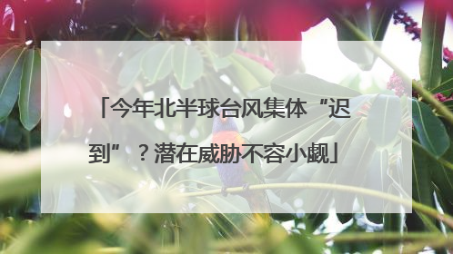 今年北半球台风集体“迟到”？潜在威胁不容小觑