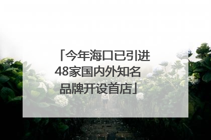 今年海口已引进48家国内外知名品牌开设首店