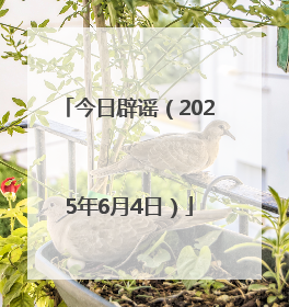 今日辟谣（2025年6月4日）