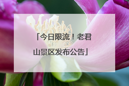 今日限流！老君山景区发布公告