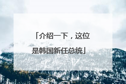 介绍一下，这位是韩国新任总统