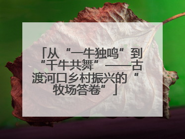 从“一牛独鸣”到“千牛共舞”——古渡河口乡村振兴的“牧场答卷”