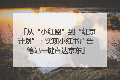 从“小红盟”到“红京计划”：实现小红书广告笔记一键直达京东