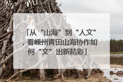 从“山海”到“人文”，看嵊州青田山海协作如何“文”出新精彩