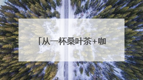 从一杯桑叶茶+咖啡 四川乐至如何端出助企发展的诚意