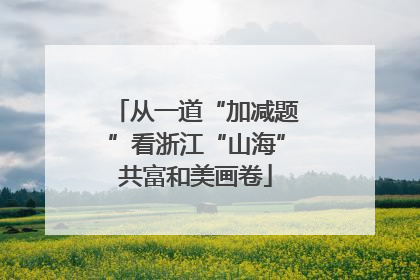 从一道“加减题”看浙江“山海”共富和美画卷