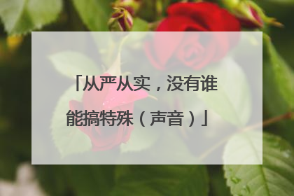 从严从实，没有谁能搞特殊（声音）
