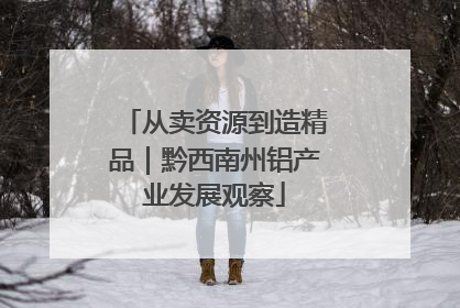 从卖资源到造精品｜黔西南州铝产业发展观察