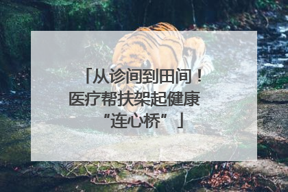 从诊间到田间！医疗帮扶架起健康“连心桥”