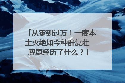 从零到过万！一度本土灭绝如今种群复壮 麋鹿经历了什么？