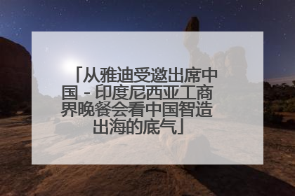 从雅迪受邀出席中国－印度尼西亚工商界晚餐会看中国智造出海的底气