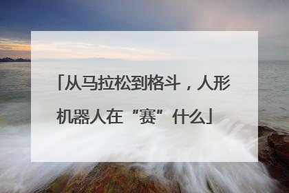 从马拉松到格斗，人形机器人在“赛”什么