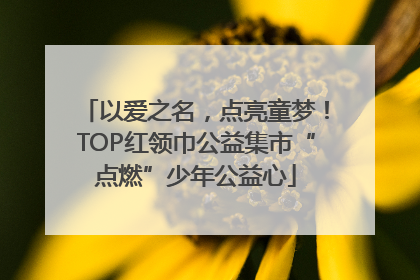 以爱之名，点亮童梦！TOP红领巾公益集市“点燃”少年公益心