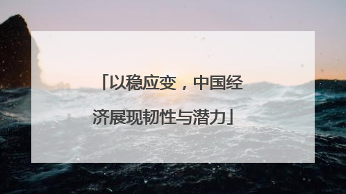 以稳应变，中国经济展现韧性与潜力