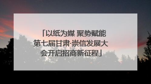 以纸为媒 聚势赋能 第七届甘肃·崇信发展大会开启招商新征程