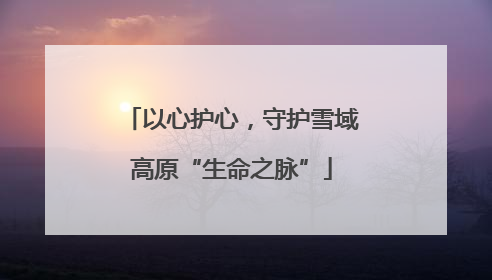 以心护心，守护雪域高原“生命之脉”