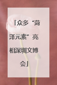 众多“菏泽元素”亮相深圳文博会