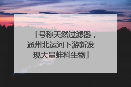 号称天然过滤器，通州北运河下游新发现大量蚌科生物