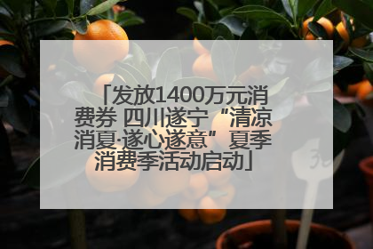 发放1400万元消费券 四川遂宁“清凉消夏·遂心遂意”夏季消费季活动启动