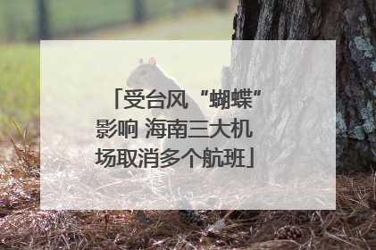 受台风“蝴蝶”影响 海南三大机场取消多个航班