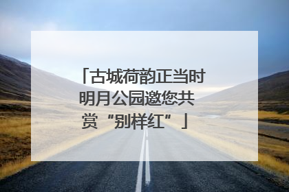 古城荷韵正当时 明月公园邀您共赏“别样红”