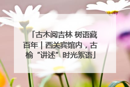 古木阅吉林 树语藏百年｜西关宾馆内，古榆“讲述”时光絮语