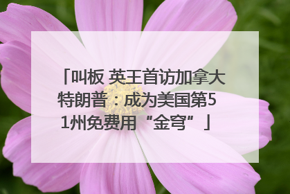 叫板 英王首访加拿大 特朗普：成为美国第51州免费用“金穹”