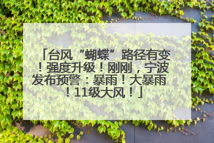 台风“蝴蝶”路径有变！强度升级！刚刚，宁波发布预警：暴雨！大暴雨！11级大风！