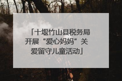 十堰竹山县税务局开展“爱心妈妈”关爱留守儿童活动