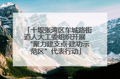 十堰张湾区车城路街道人大工委组织开展 “聚力建支点·建功示范区”代表行动