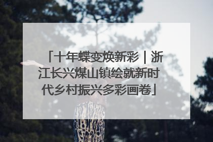 十年蝶变焕新彩｜浙江长兴煤山镇绘就新时代乡村振兴多彩画卷