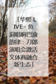 华熙 LIVE・鱼洞唱响巴渝韵律：刀郎演唱会激活文体商融合新生态