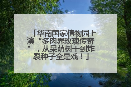 华南国家植物园上演“多肉界玫瑰传奇”，从呆萌树干到炸裂种子全是戏！