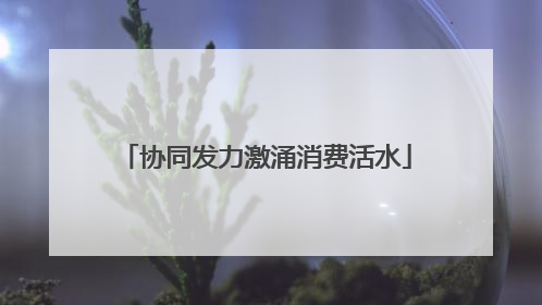 协同发力激涌消费活水