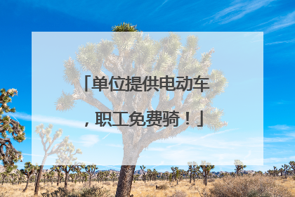 单位提供电动车，职工免费骑！