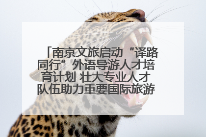南京文旅启动“译路同行”外语导游人才培育计划 壮大专业人才队伍助力重要国际旅游目的地建设