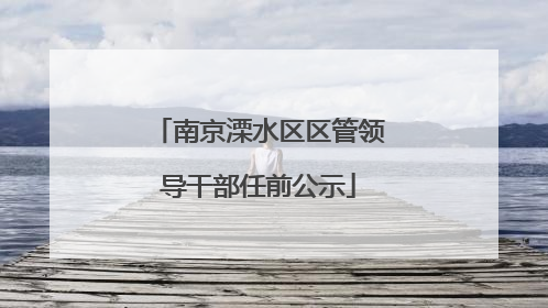 南京溧水区区管领导干部任前公示