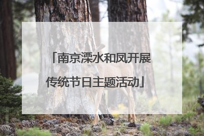南京溧水和凤开展传统节日主题活动