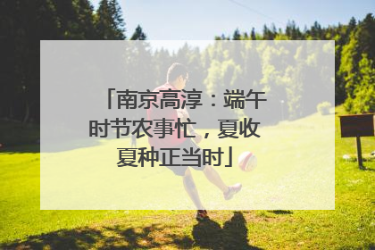 南京高淳：端午时节农事忙，夏收夏种正当时