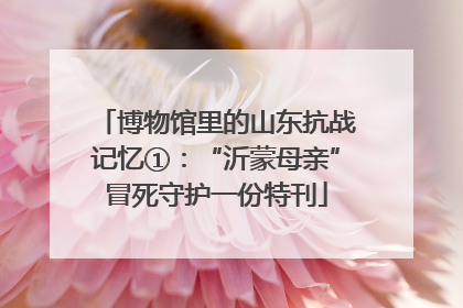 博物馆里的山东抗战记忆①：“沂蒙母亲”冒死守护一份特刊