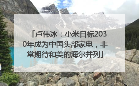 卢伟冰：小米目标2030年成为中国头部家电，非常期待和美的海尔并列