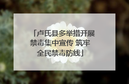 卢氏县多举措开展禁毒集中宣传 筑牢全民禁毒防线