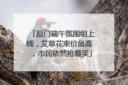 厦门端午氛围组上线，艾草花束价虽高，市民依然抢着买