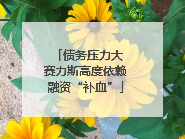 债务压力大 赛力斯高度依赖融资“补血”