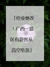 停业整改！广西一景区有游客从高空坠落