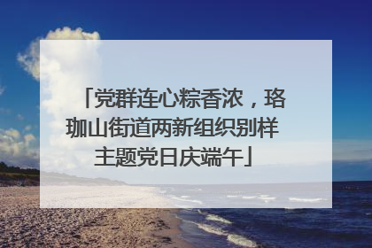 党群连心粽香浓，珞珈山街道两新组织别样主题党日庆端午